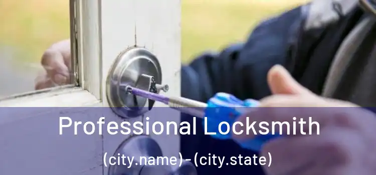 Professional Locksmith (city.name) - (city.state)