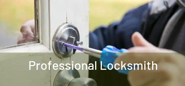  Professional Locksmith 
